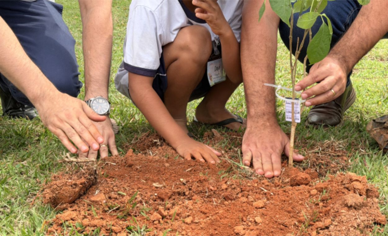 Dia da Árvore é celebrado com plantio e educação ambiental no Parque do Cristo